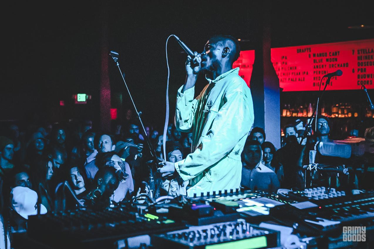 ヒカゲノカズラ　　kokoko様 ヒカゲノカズラ kokoko様 ヒカゲノカズラ kokoko様 Rare clubmoss