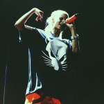 Die Antwoord