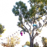 Beach Goth-1-7