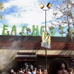 beach goth-1