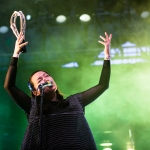 Little Dragon (1 of 1)