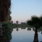 DSCF3566.jpg