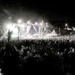 Crowds, Desert Daze, photo by Wes Marsala