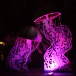 Joshua Tree Music Fest