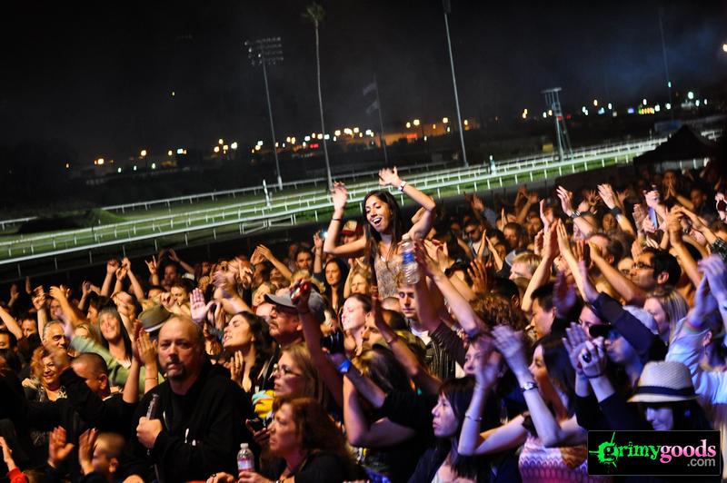 Concert crowd photos