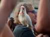  make music pasadena photos11