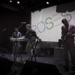 Roses photos by Wes Marsala