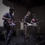 Roses photos by Wes Marsala