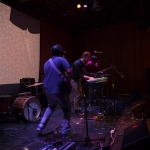Roses photos by Wes Marsala
