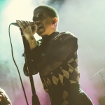 Kitten at The Regent