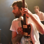 Foals